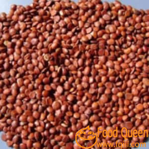 Jujube Seed