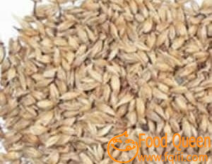 malt